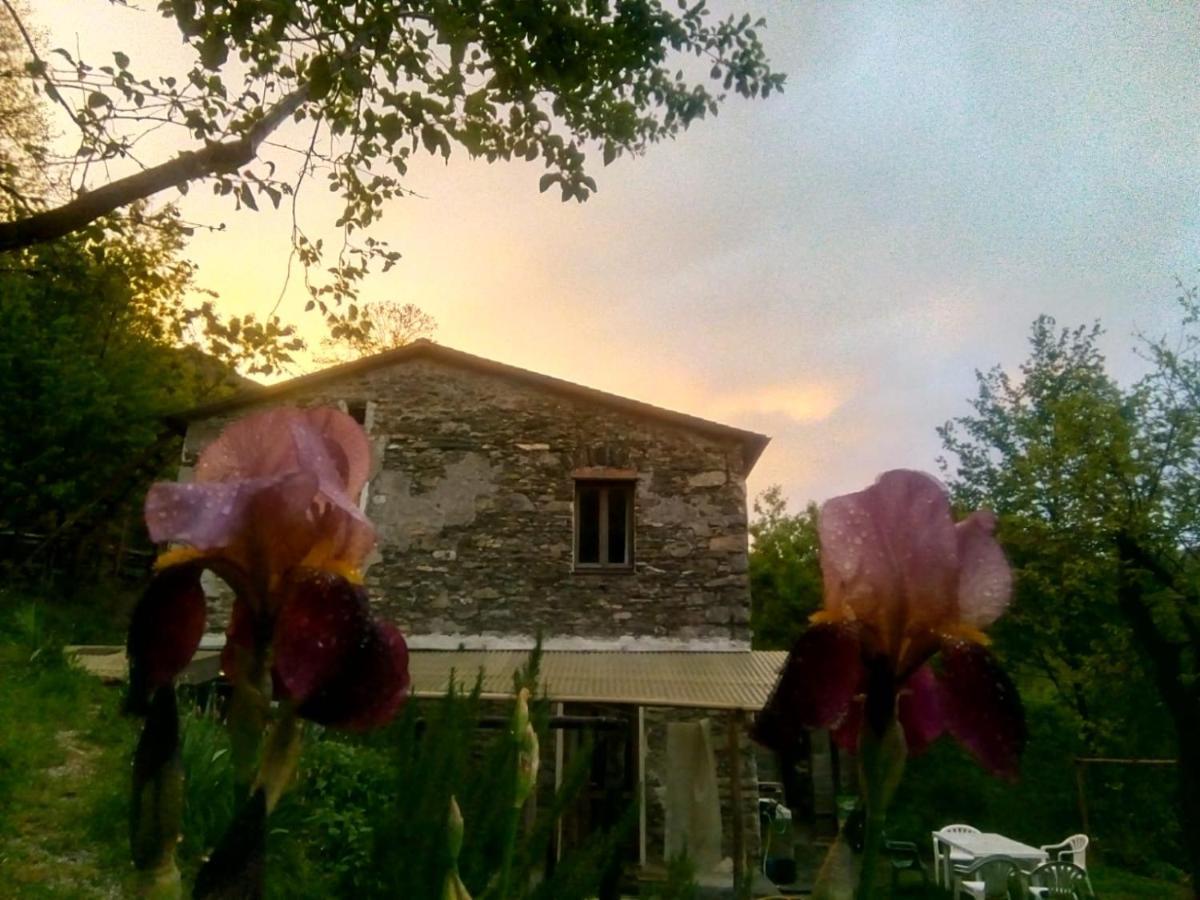 B&B Stefano Neirone Экстерьер фото