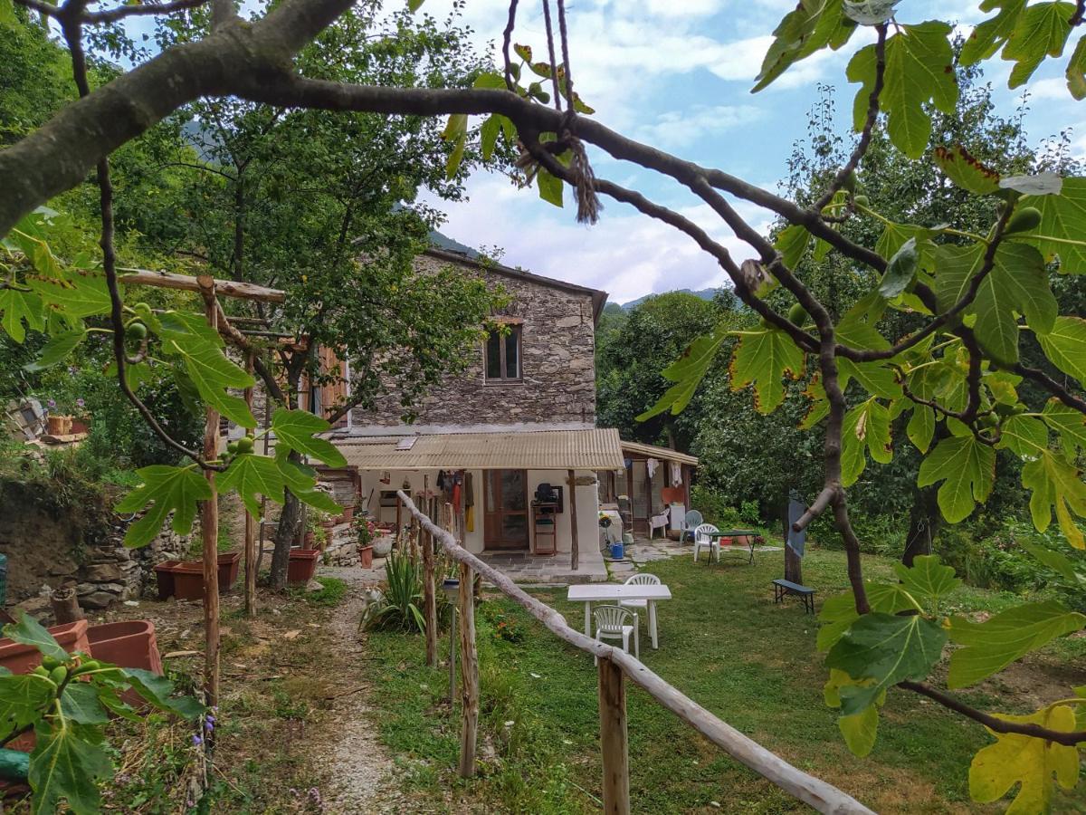 B&B Stefano Neirone Экстерьер фото